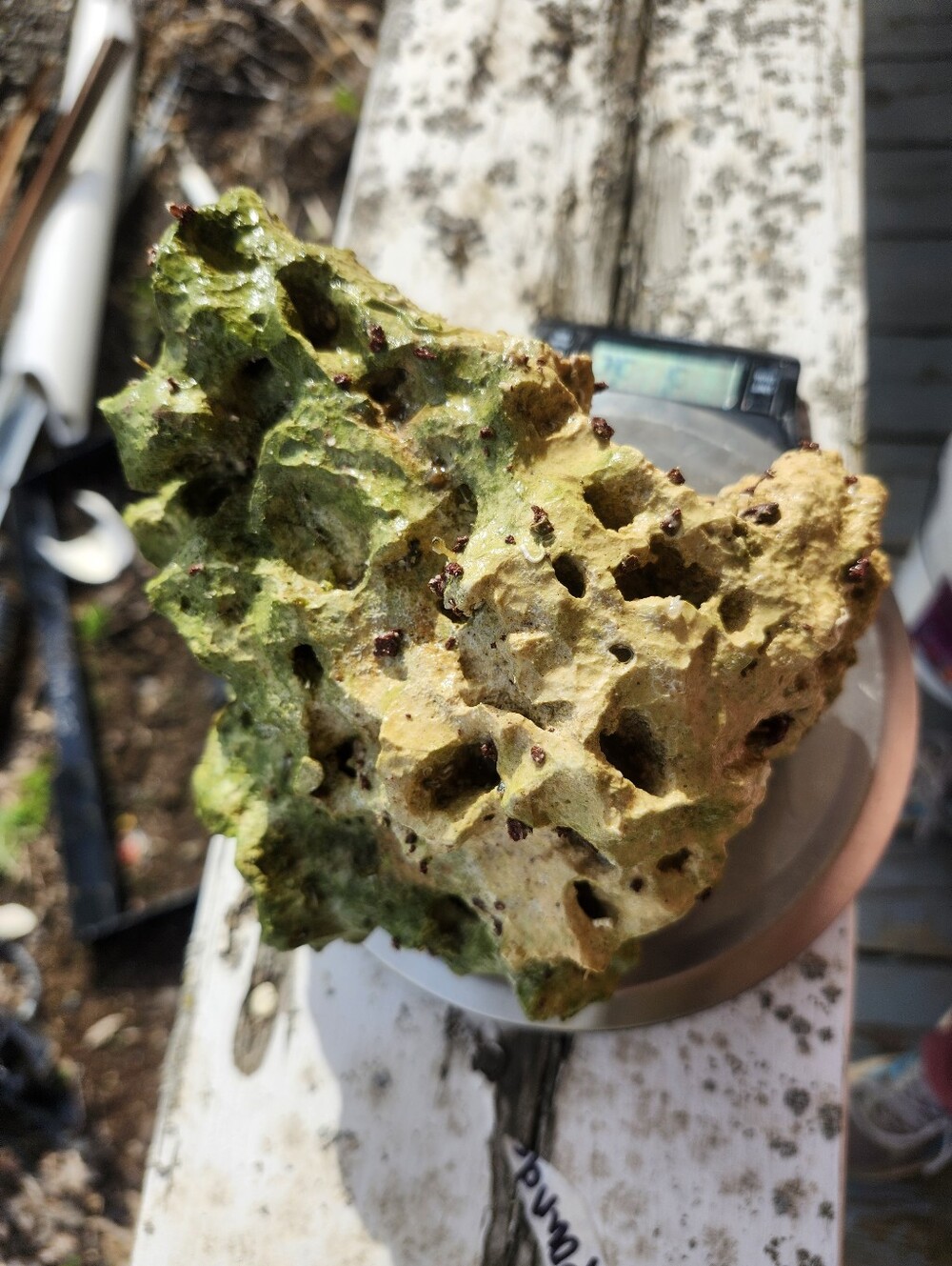 Fiji Dry Base Rock for Saltwater Aquarium Setup Natural Reef Rock Aquascaping